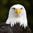 Anders_Eliasson