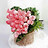 Hannan_Khaled