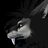 Conrad_The_Woff