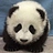 fairlysadpanda