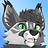 FoxGalaxy23