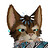 Sunset_Gato