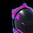 The_Dog_404