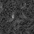 vlasts