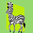 ZebraNorth